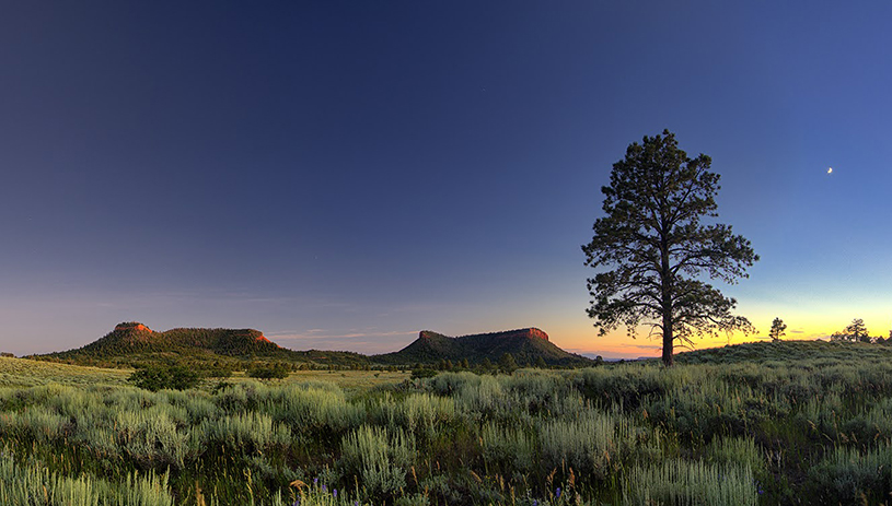 The Bears Ears buttes at sunset. TIM PETERSON