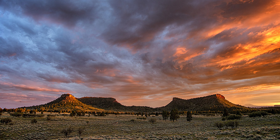 Forested Bears Ears buttes, like the ears of a bear peeking over the horizon with a dramatic yellow and orange sunset and clouds