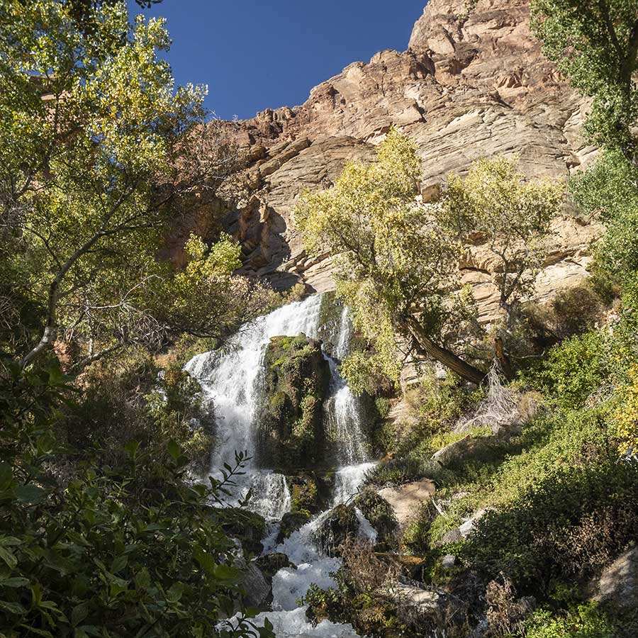 A view of a cascading waterfall in the Grand Canyon