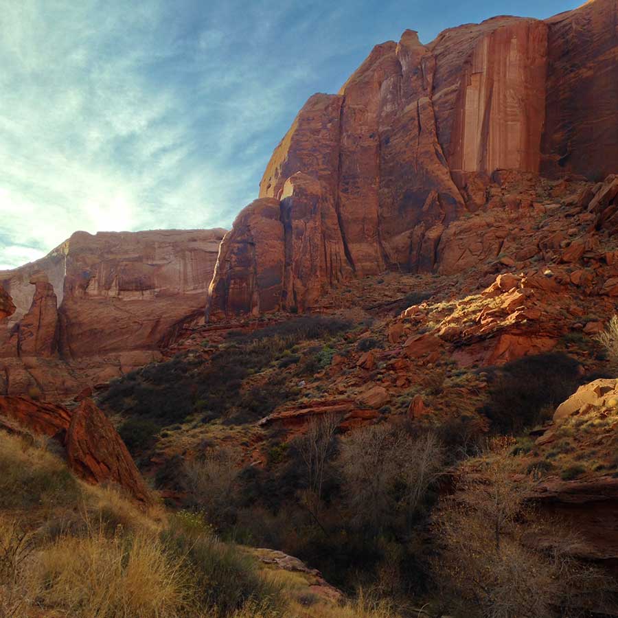 A view of Coyote Gulch, with orange sandstone fins rising from the canyon meanders