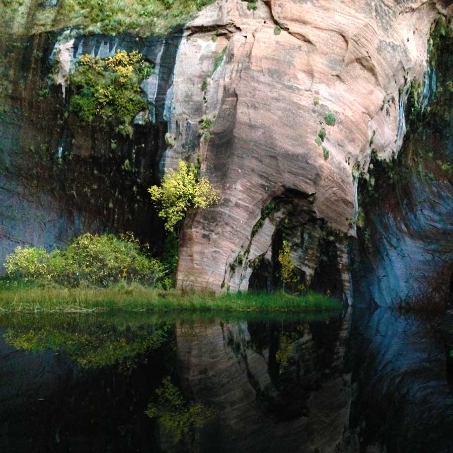 A dark pool in Coyote Gulch, with a hanging garden above