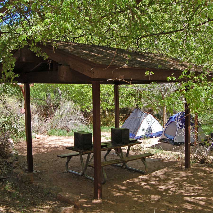 A shade structure, picnic table and two tents surrounded by willows.