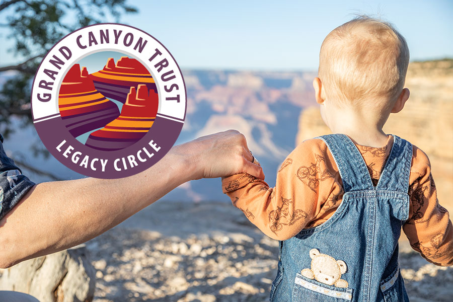 The arm of a mother holding her toddler's hand at the Grand Canyon