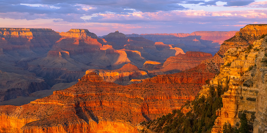 Sunset turns the cliffs of Grand Canyon National Park golden, orange, red, purple, and pink.