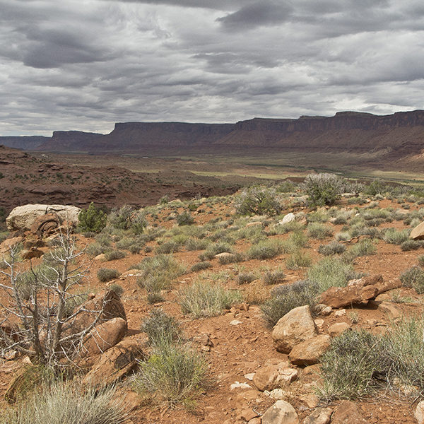 A view off the Amphitheater Loop Trail