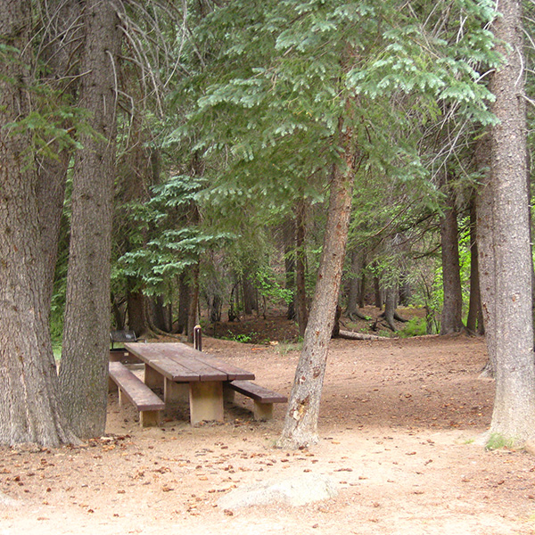 A wooden picnic table in the forest campsite