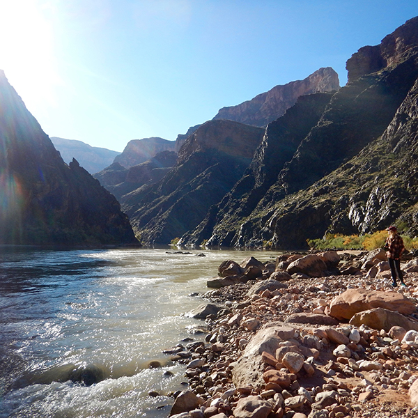 A view of the Colorado River from its confluence with Boucher Creek