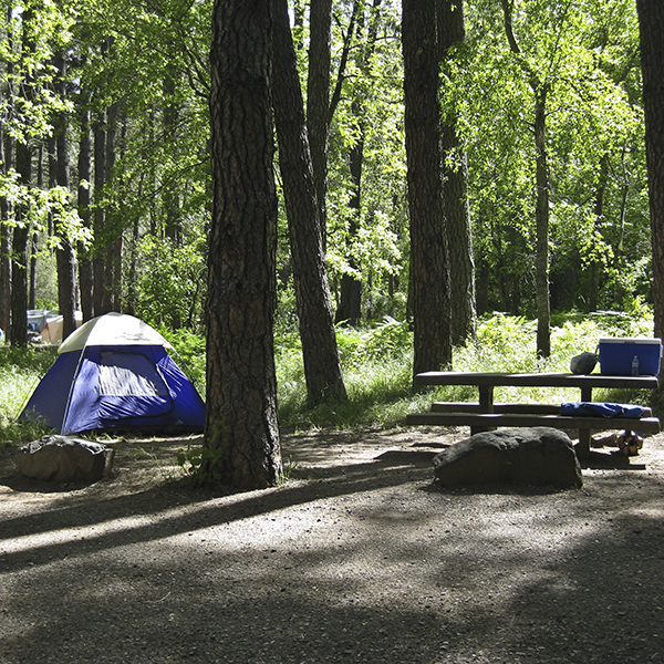 A blue tent at Cave Springs Campground