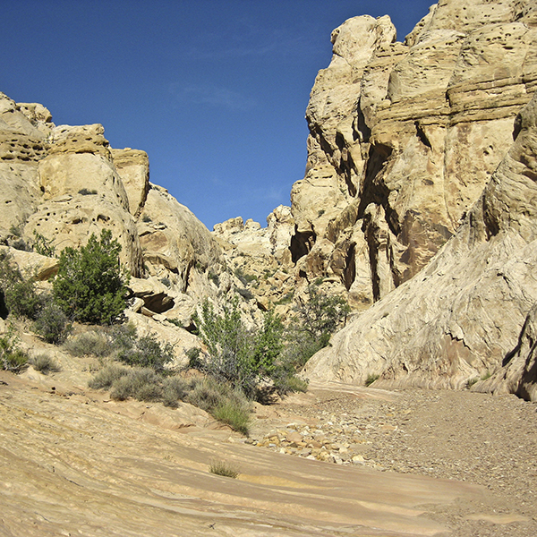 A yellow slickrock canyon