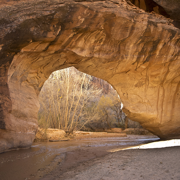 An orange sandstone natural bridge with a creek running underneath.