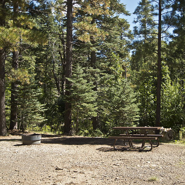 A picnic table and fire ring surrounded by pine trees