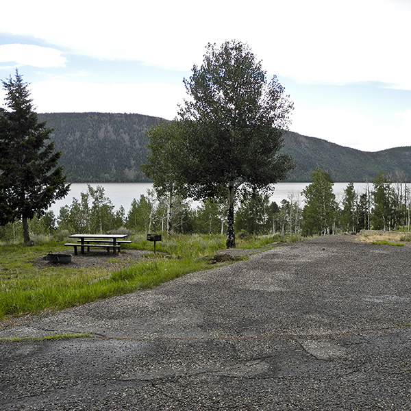 A blacktop campsite with picnic table in the grass at Mackinaw Campground