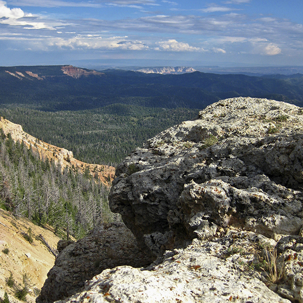 View from the Virgin Rim Trail