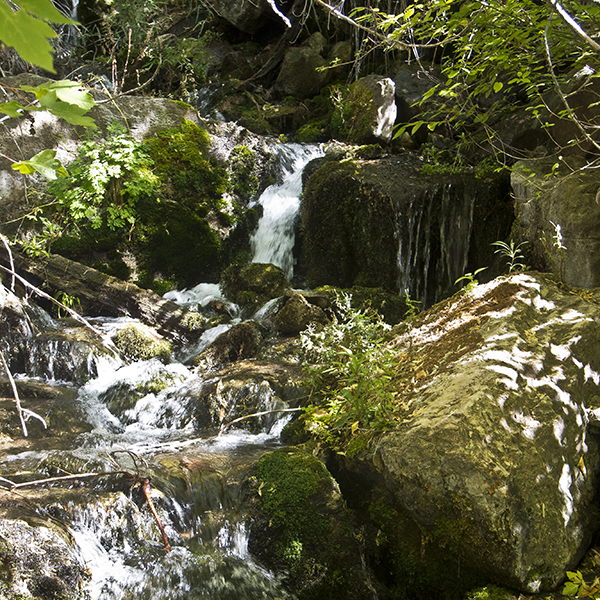 A view of a small waterfall on the North Kaibab Trail