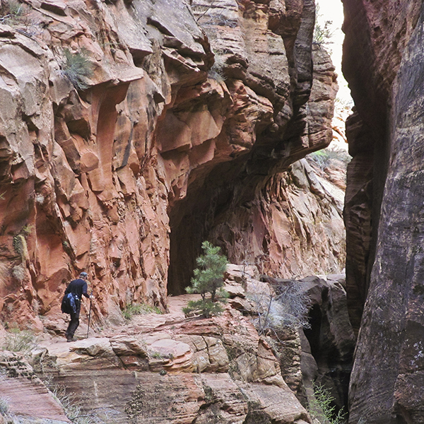 A narrow passageway through sandstone