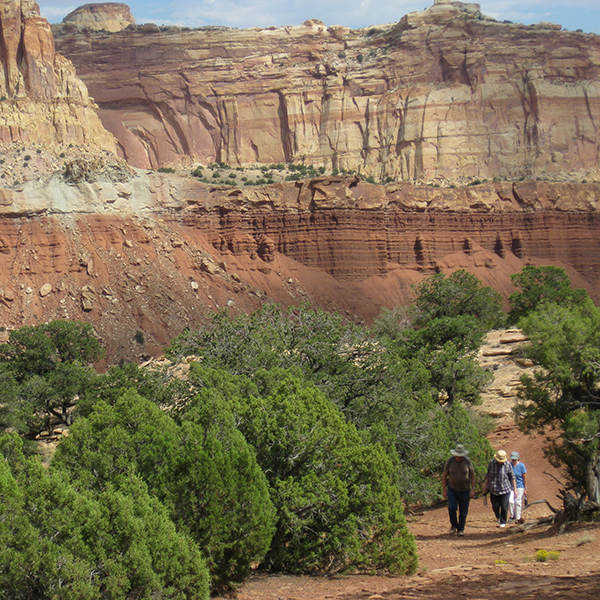 Two hikers on the old wagon trail with the waterpocket fold behind them