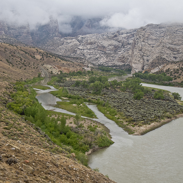 The green river