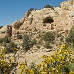 An alcove with a cliff dwelling, framed by yellow leaves of a bush.