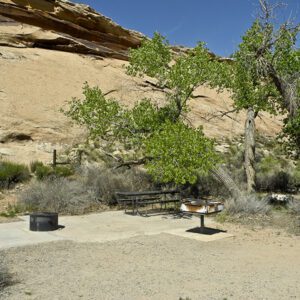 A campsite against white slickrcok cliffs at Sand Island Campground