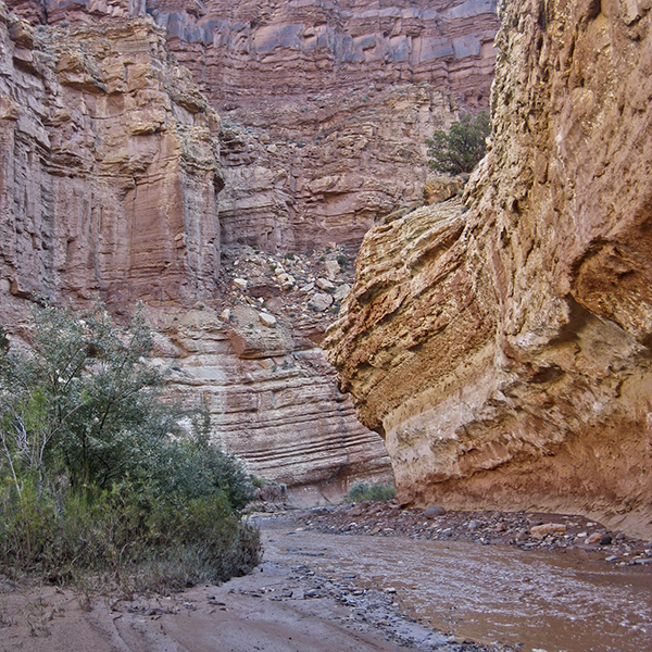 Red canyon walls, with a small creek in the bottom