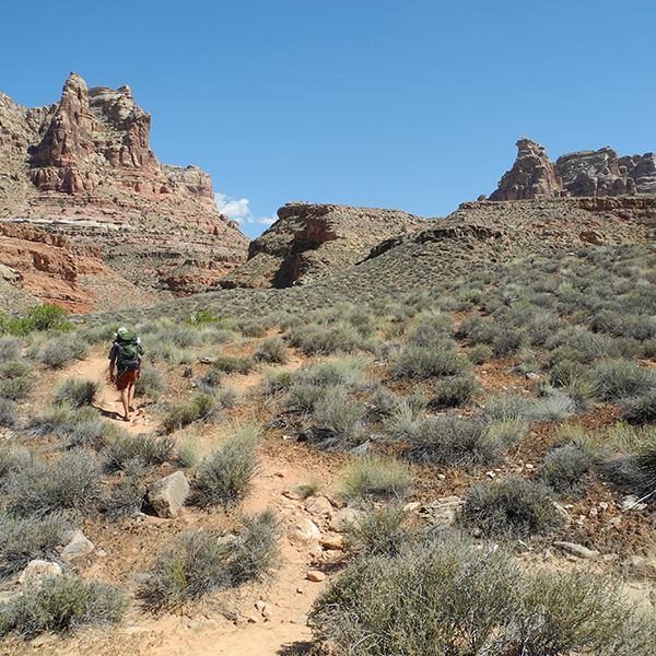 A hiker on the Sundance Trail