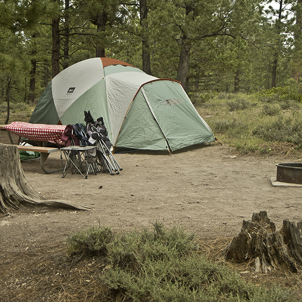 A green tent next to a picnic table