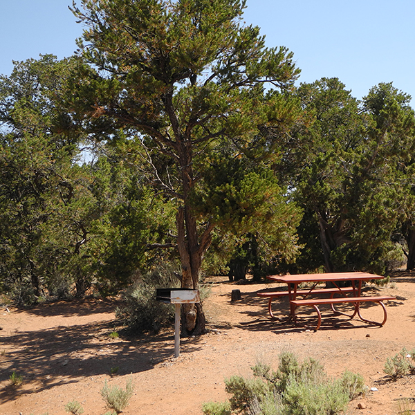 A picnic table and grill in a campsite at Sunset View Campground