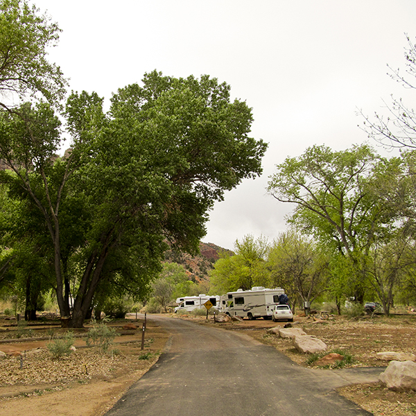 One of the loops in Watchman Campground, with several empty sites and a few RVs