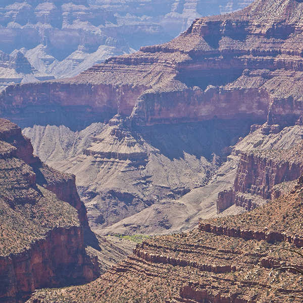 A view of the terraced cliffs in the Grand Canyon from the Widforss Trail