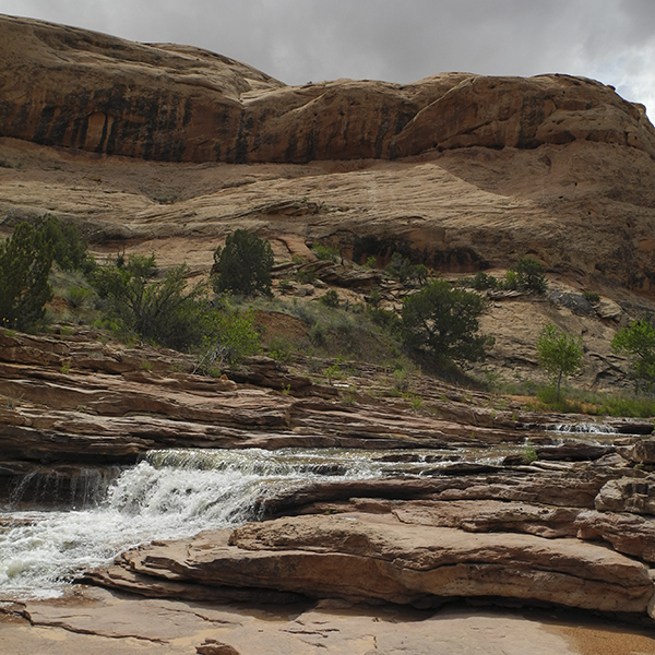 A creek cascades over sandstone ledges in Courthouse wash