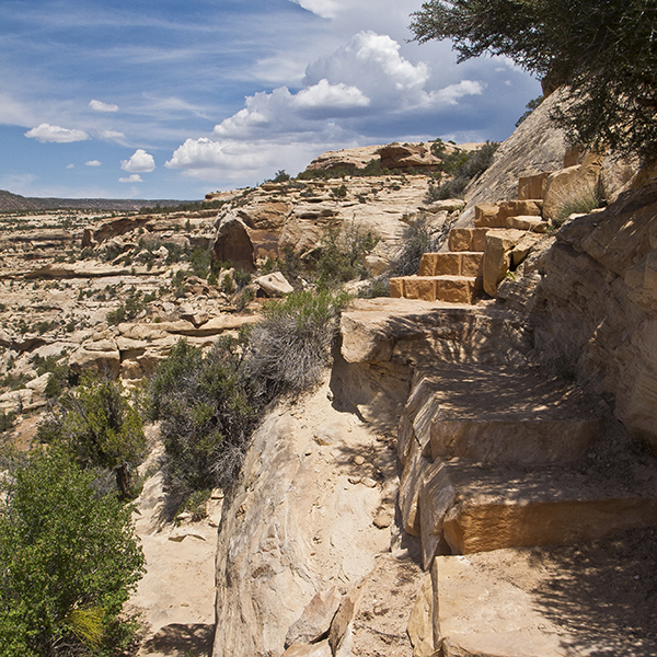 Blocky sandstone trails on a cliff in Natural Bridges National Monument