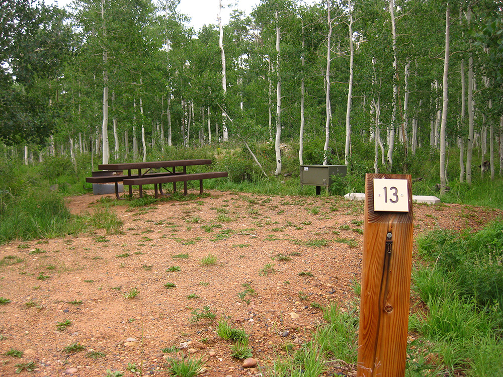 Site 13 tucked in the aspens