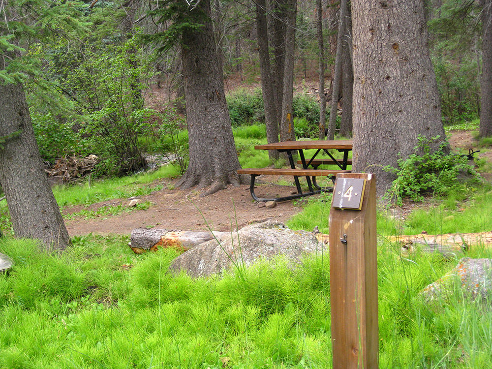 Bright green grass around a campsite