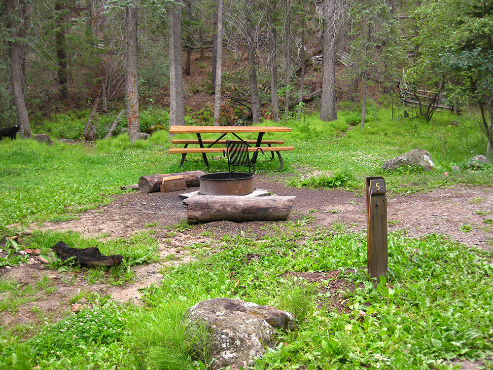 Bright green grass surrounding a campsite with a picnic table