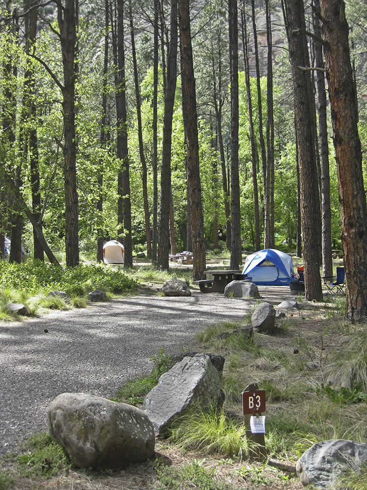 A blue tent at a campsite