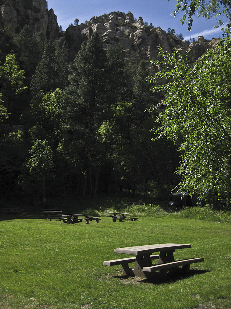 A picnic table in grass