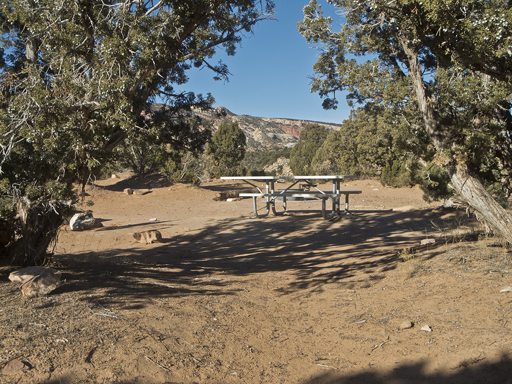 An empty site with a picnic table in Cedar Mesa Campground