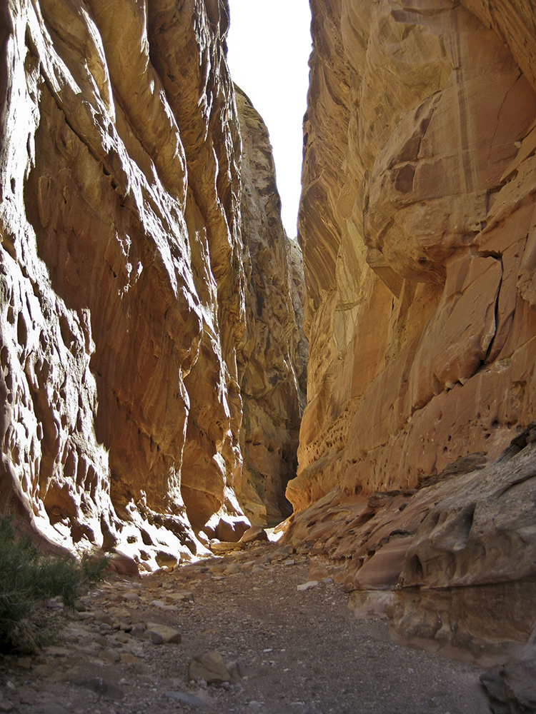 A pinch point in chute canyon