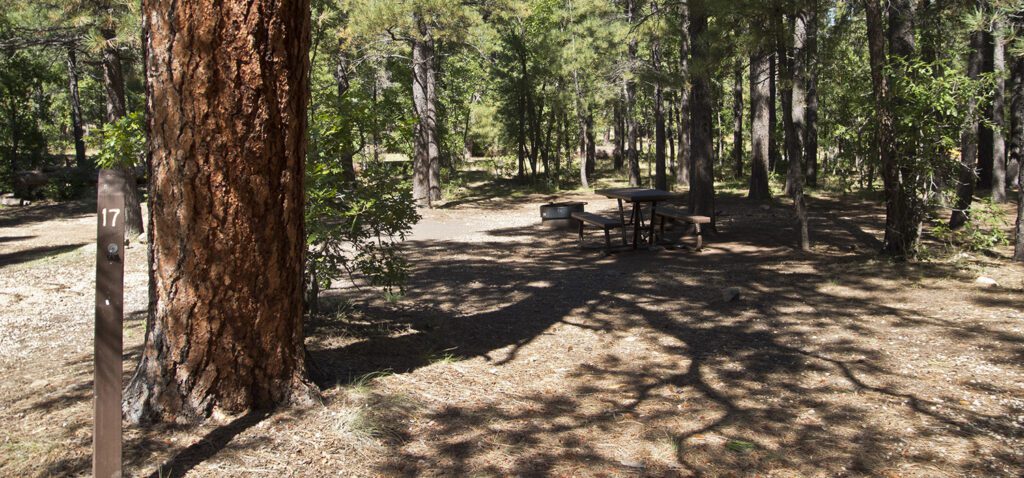 a campsite at Dairy Springs Campground