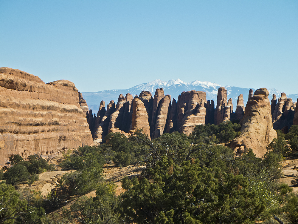 Sandstone fins in the foreground, with the La Sals poking out behind