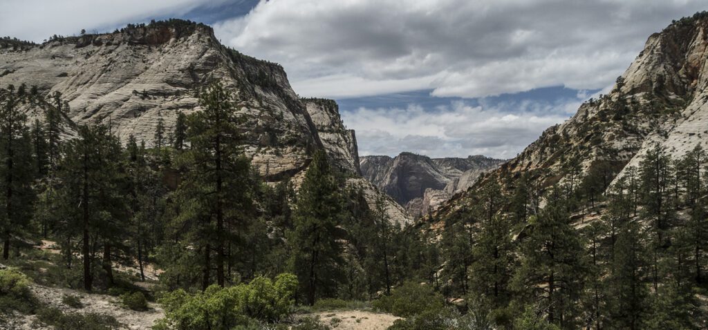 Panorama of white Navajo Sandstone in Zion