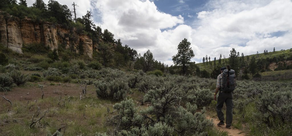 Two hikers cross a sandy stretch of trail lined with sage