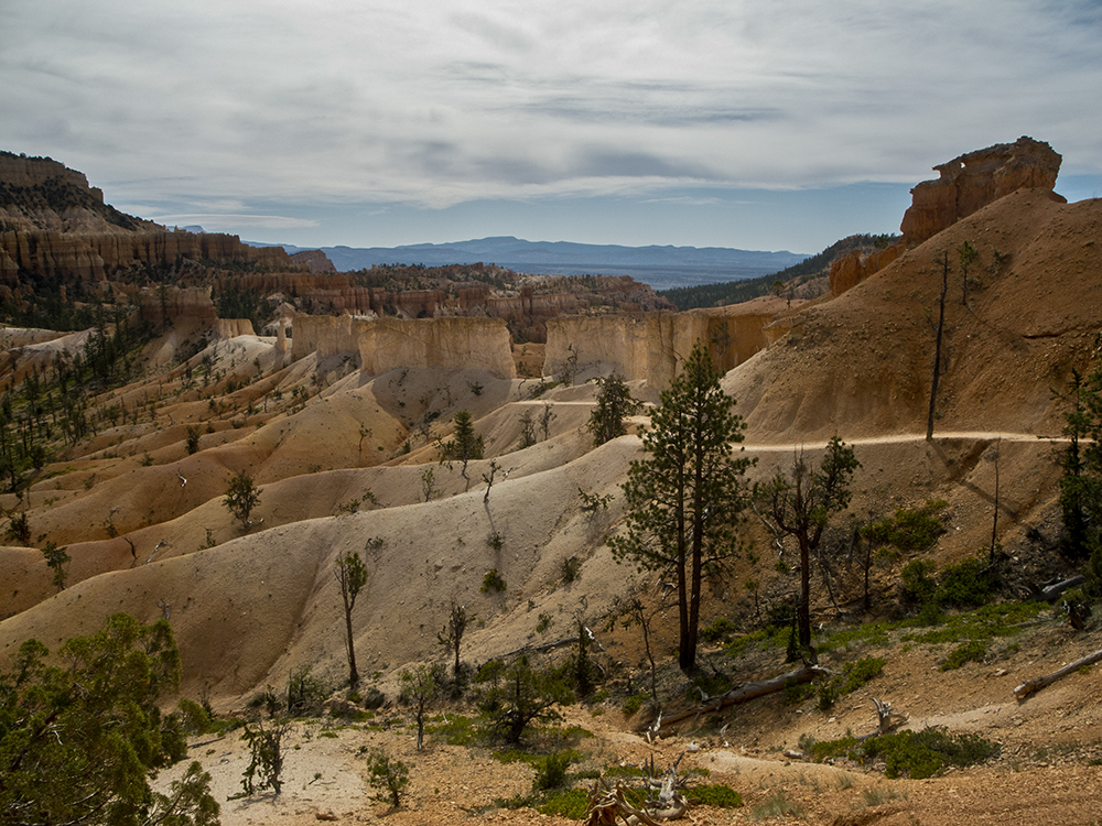 eroding limestone creates a textured landscape of colorful ridges and spires