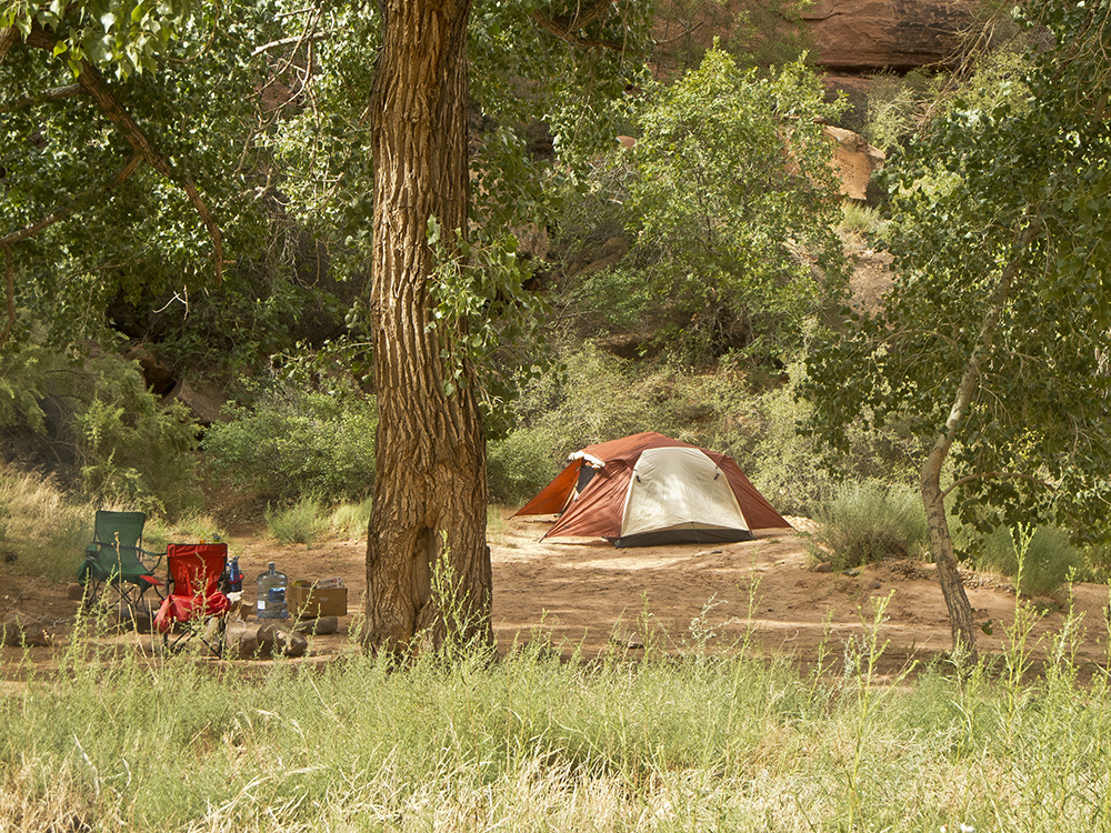 An orange and white tent and red chair set up in a sandy campsite surrounded by cottonwood trees at the Hunter Canyon Campground