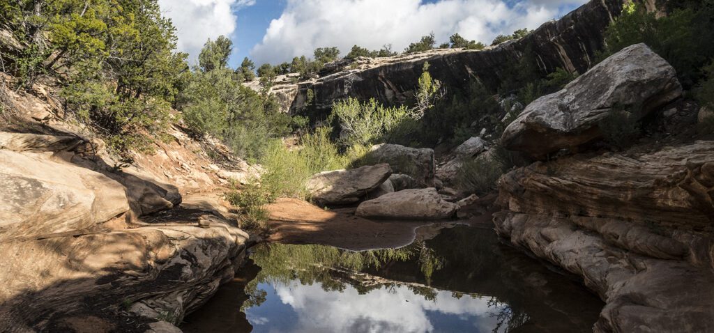 A pool of water in the bottom of Kane Gulch