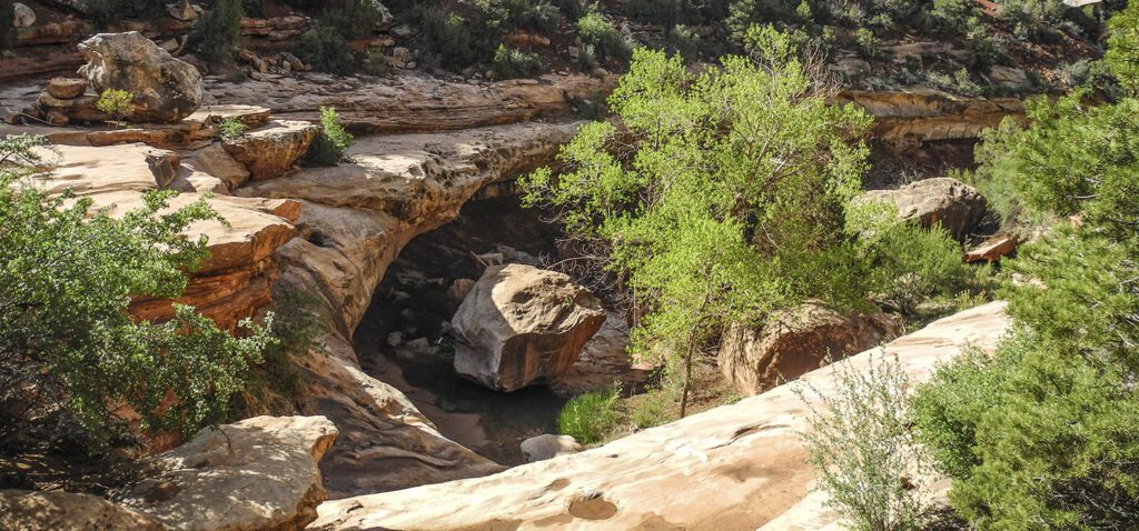 A pouroff in the sandstone canyon