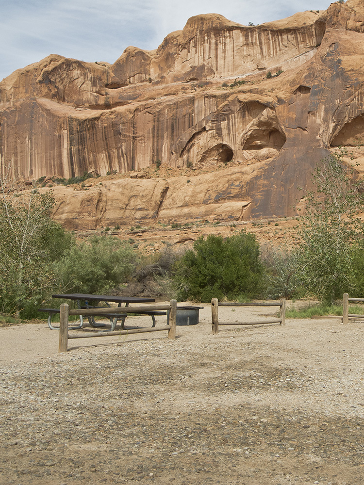 An empty campsite with a picnic table and fire ring at Kings Bottom Campground backed up against sandstone cliffs