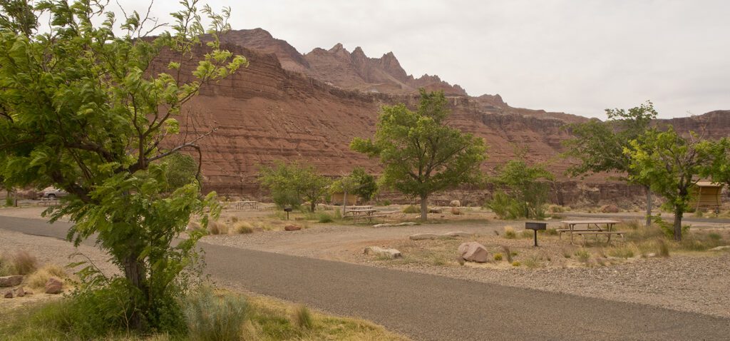 Small green trees grow between campsites at the Lees Ferry Campground