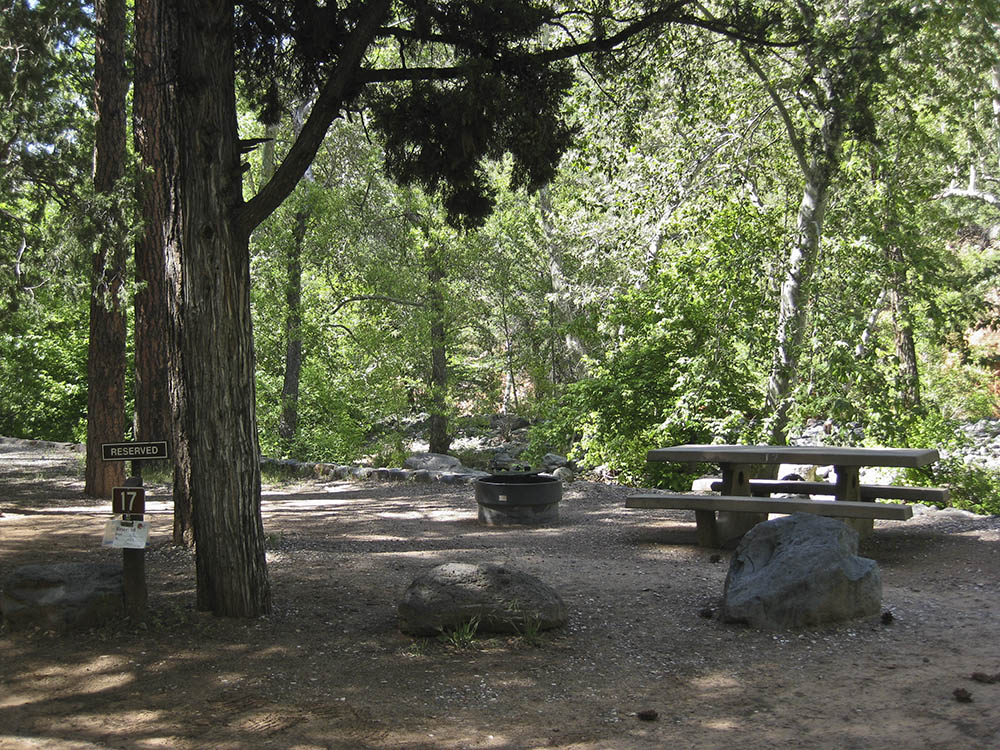 an empty site at Manzanita Campground