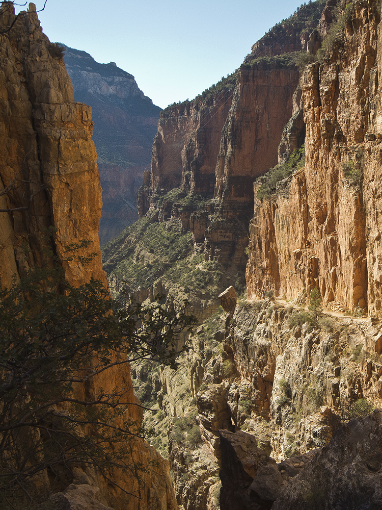 A view of the North Kaibab Trail winding beneath a steep cliff